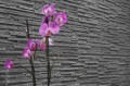 Stegu Palermo 2 kültéri-beltéri kőhatású falburkolat 14x55 cm