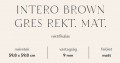 Paradyz Intero Brown 59,8x59,8 padlólap