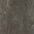 Ibis Anthracite