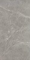 Ibis Grey