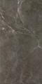 Ibis Anthracite