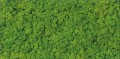 Cersanit Fresh Moss 29x59 csempe termékcsalád PS808