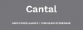 Savoia Cantal Beige 40x60 padlólap