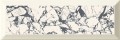 Arte Senza Vien 7,8x23,7 Bar White Dekor